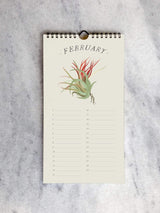 Calendar Favorite Story Tillandsia (air plants) Celebration Calendar