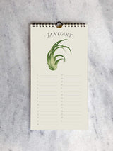 Calendar Favorite Story Tillandsia (air plants) Celebration Calendar