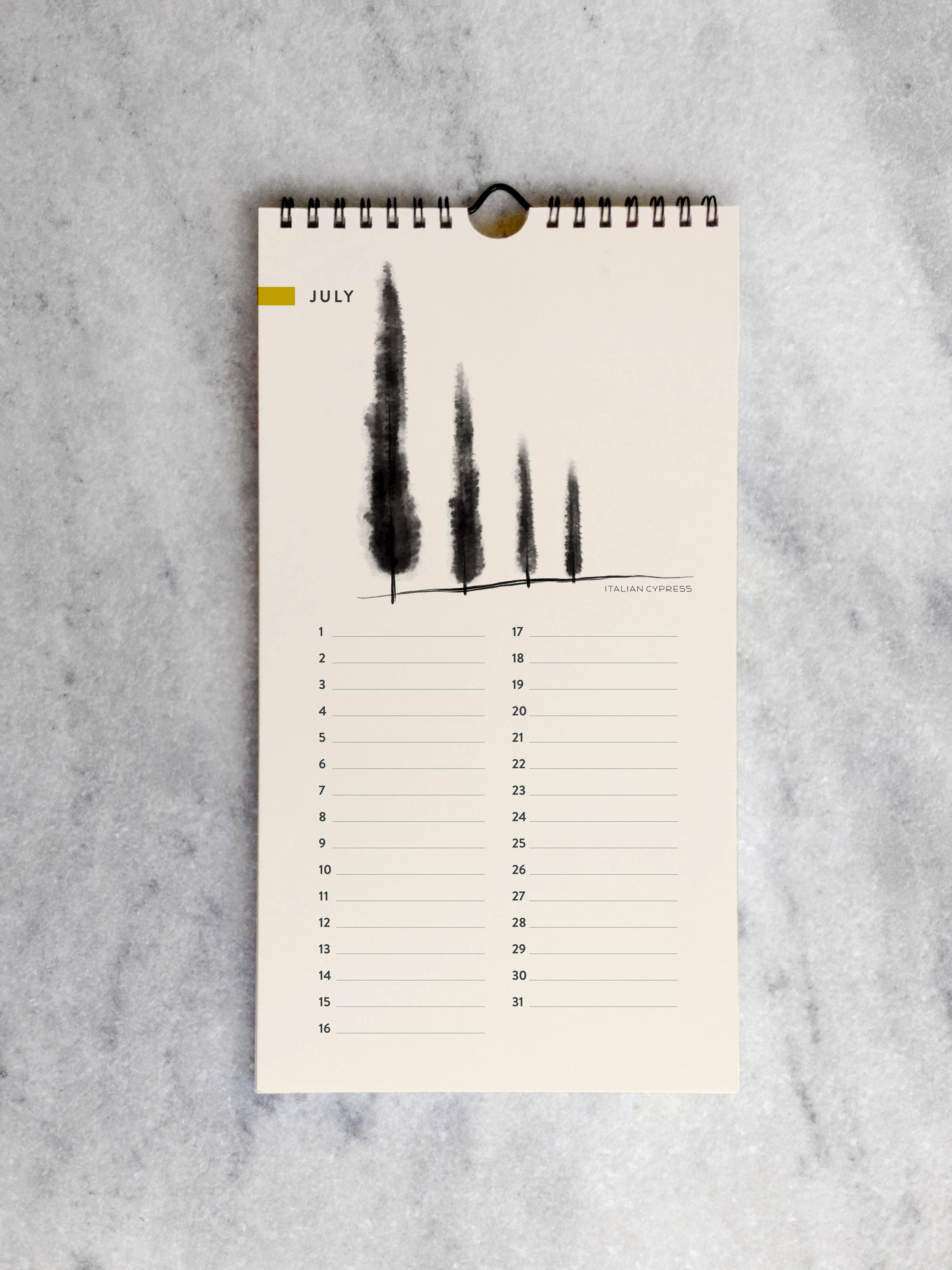 Favorite Story Celebration Calendar Trees Celebration Calendar