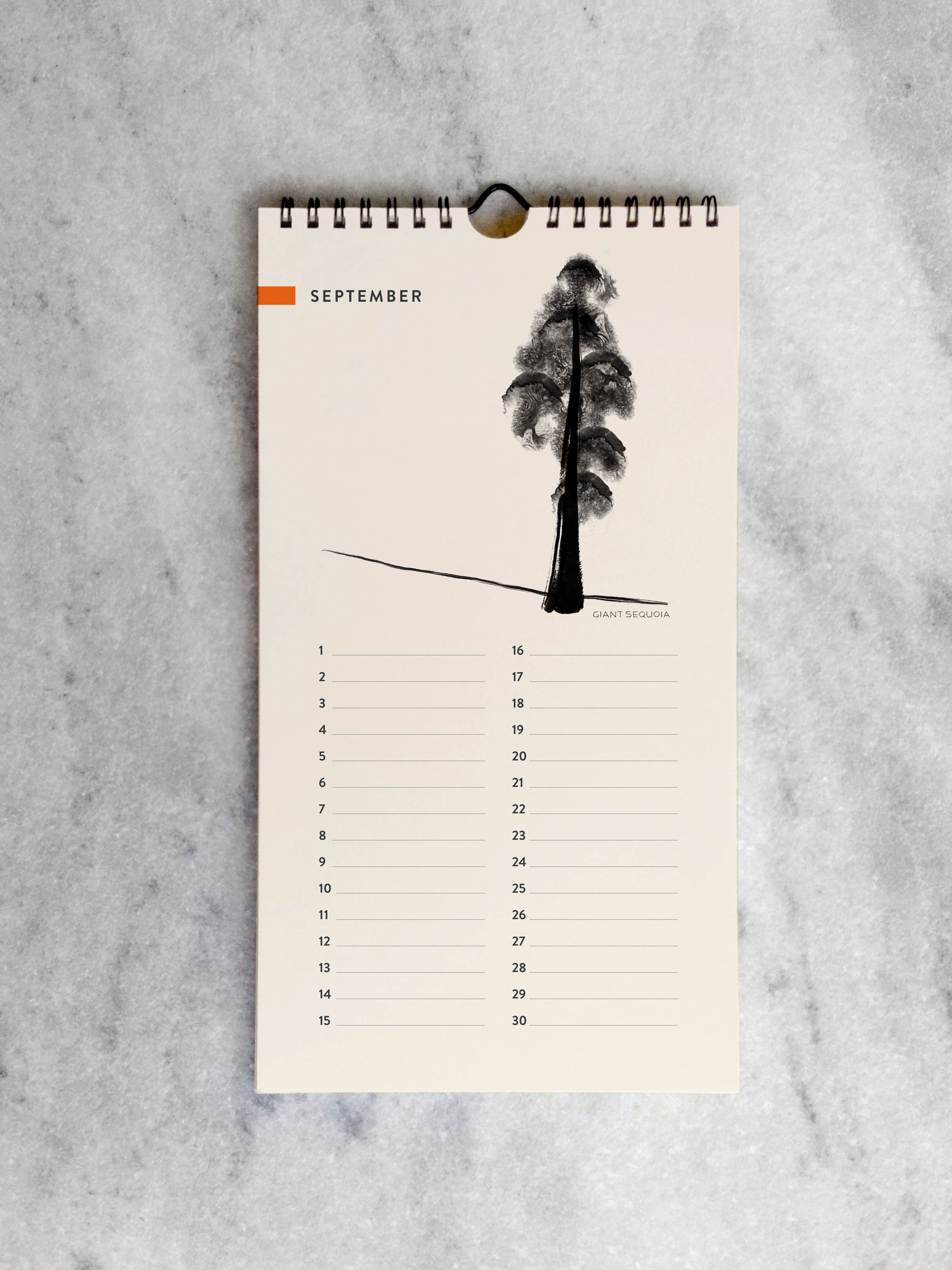 Favorite Story Celebration Calendar Trees Celebration Calendar