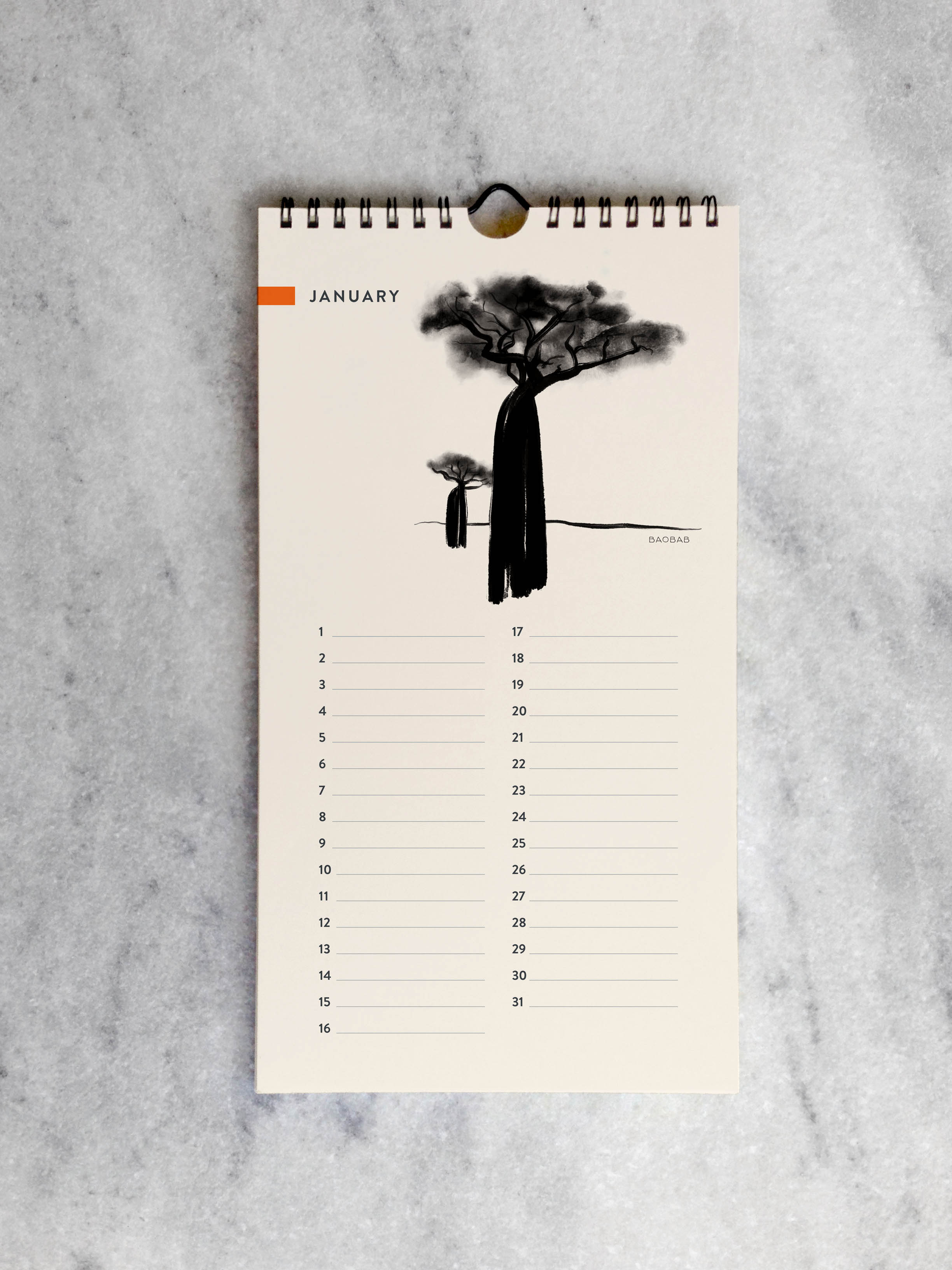 Favorite Story Celebration Calendar Trees Celebration Calendar