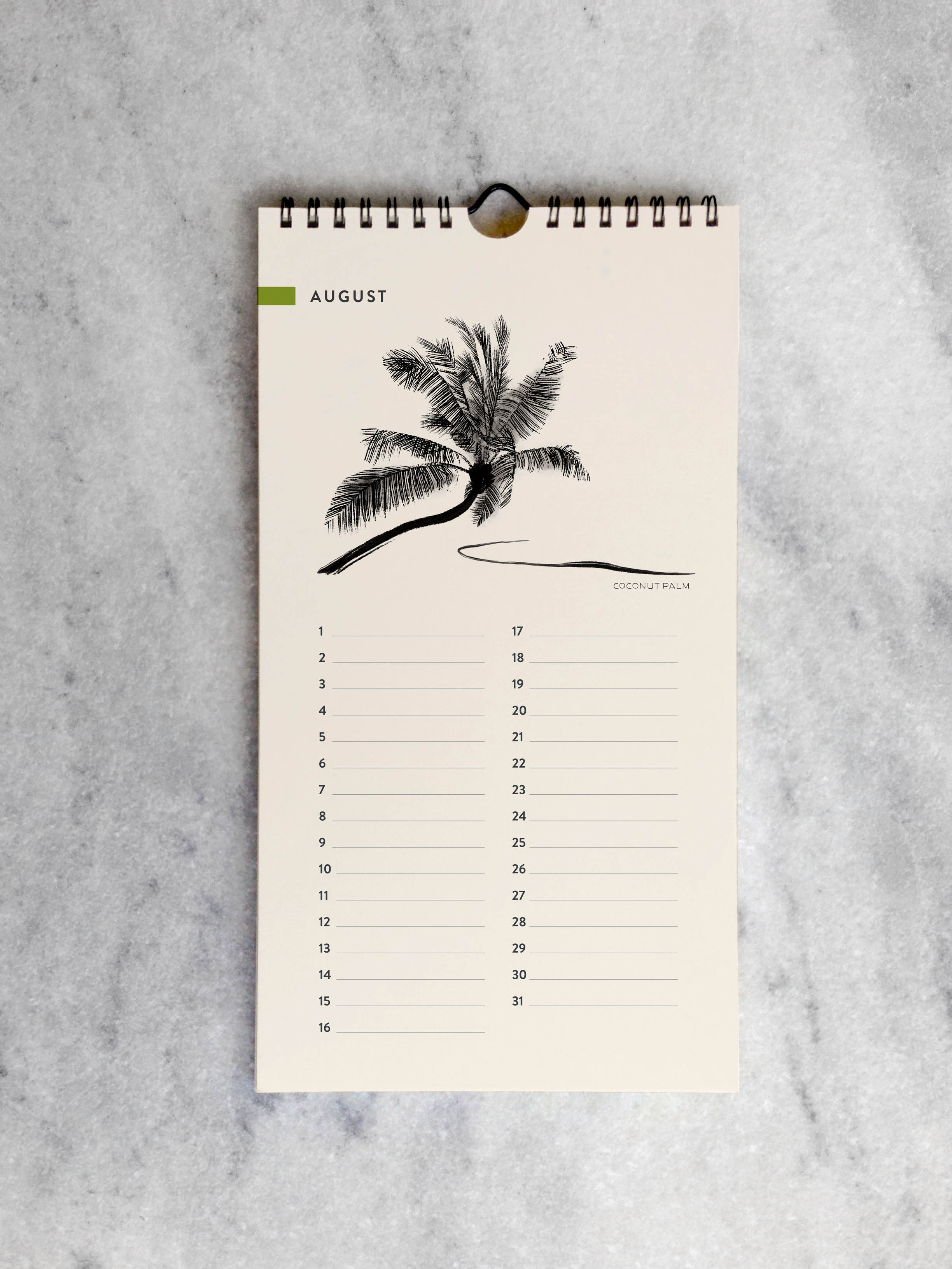 Favorite Story Celebration Calendar Trees Celebration Calendar