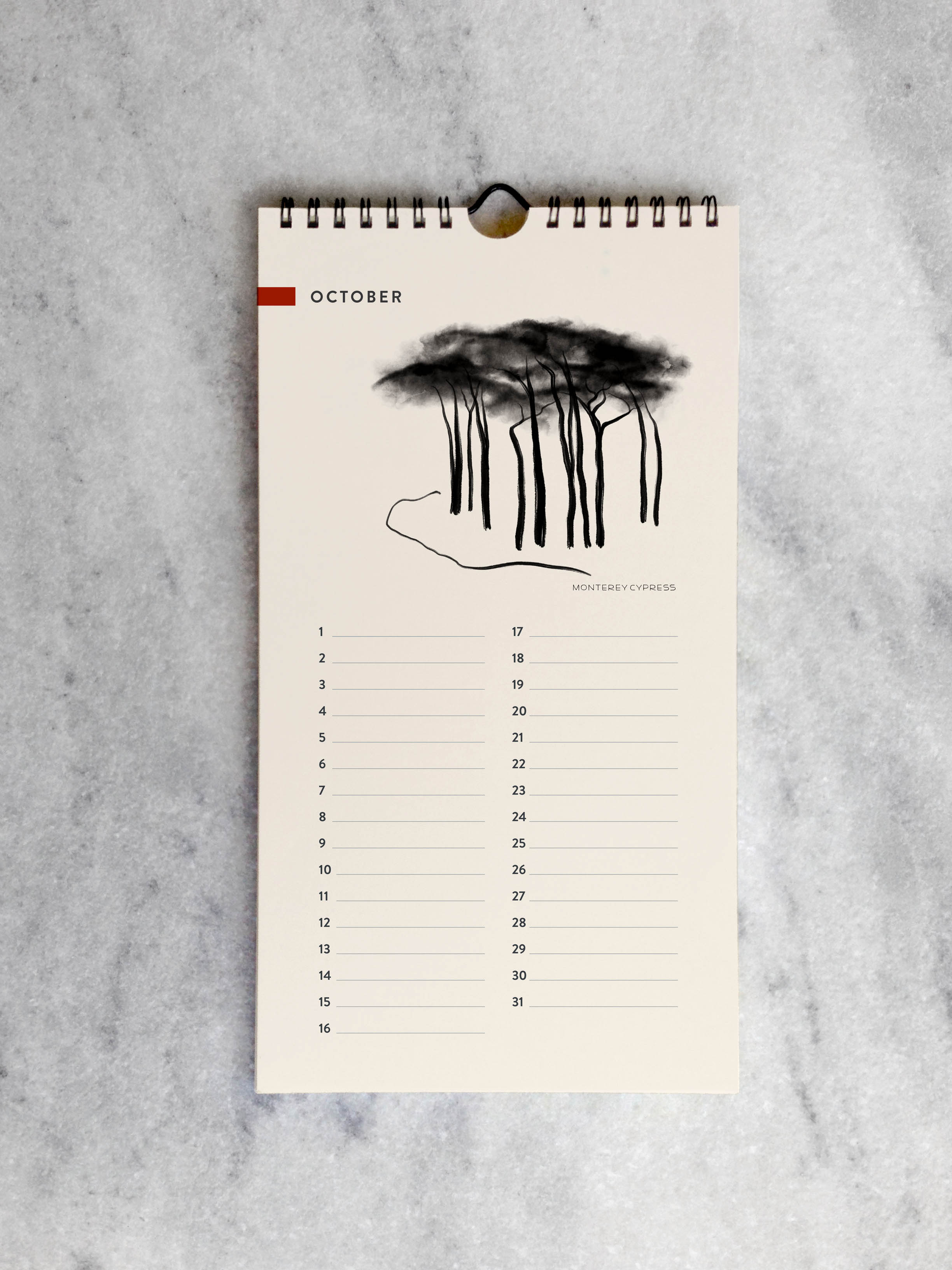 Favorite Story Celebration Calendar Trees Celebration Calendar
