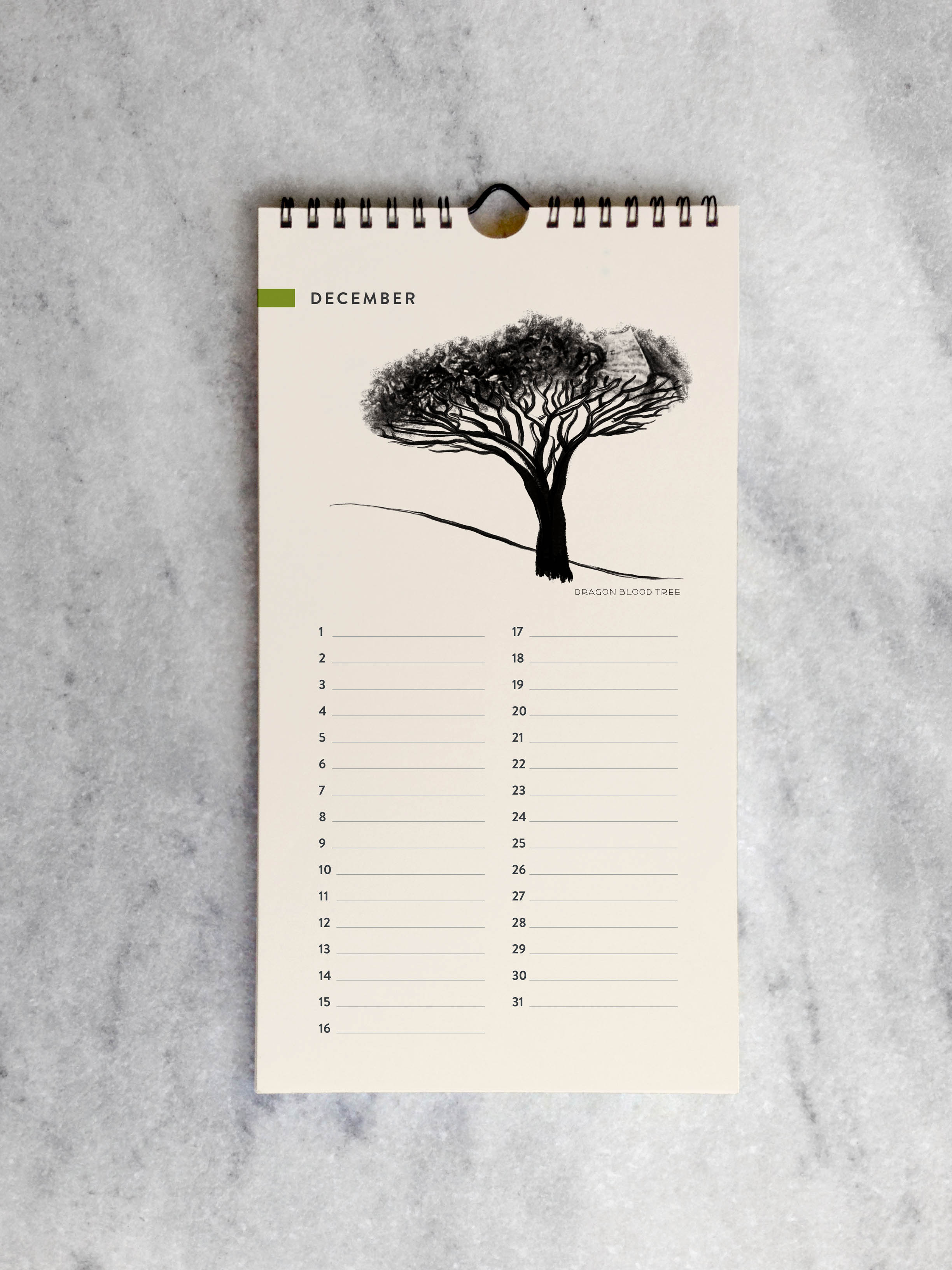 Favorite Story Celebration Calendar Trees Celebration Calendar
