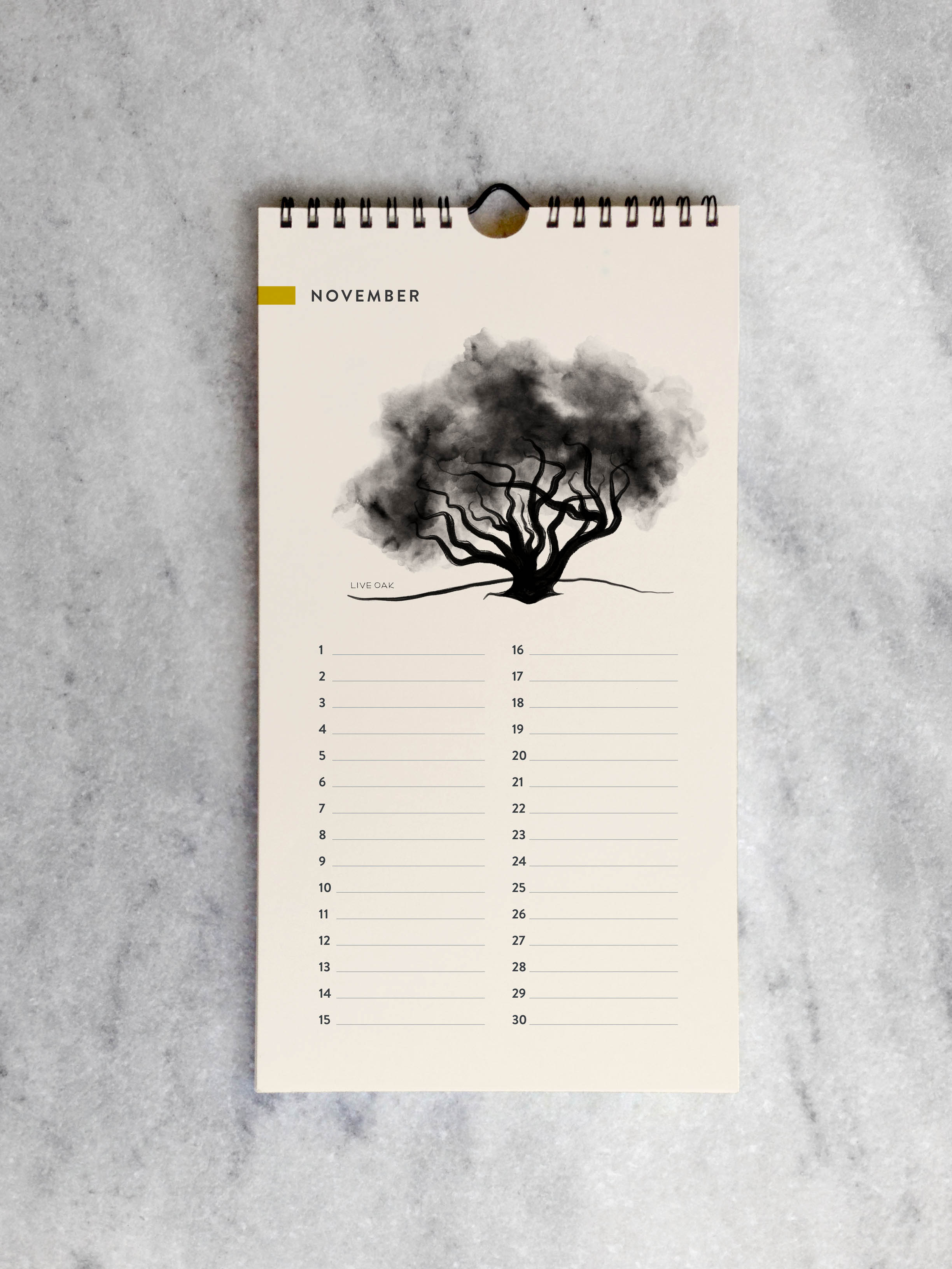 Favorite Story Celebration Calendar Trees Celebration Calendar