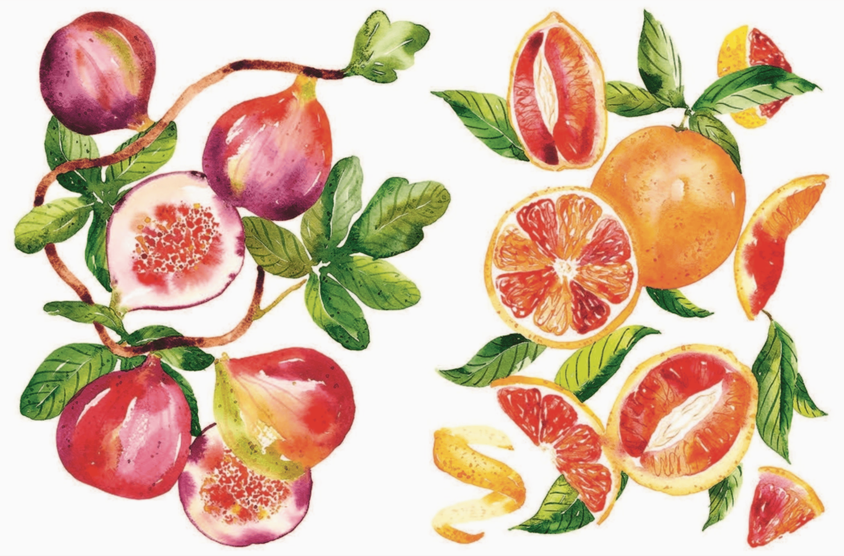 Favorite Story Chronicle Books 15-minute Art Watercolour