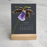 Favorite Story Desk Calendar Orchid 2024 Desk Calendar