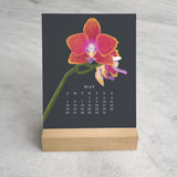 Favorite Story Desk Calendar Orchid 2024 Desk Calendar