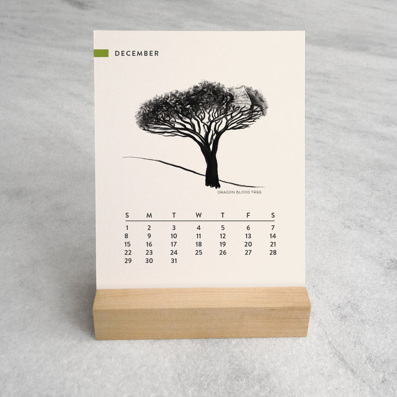 Favorite Story Desk Calendar Trees 2024 Desk Calendar