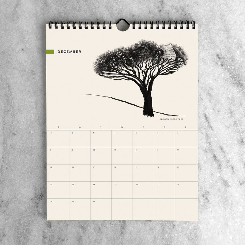 Favorite Story Wall Calendar Trees 2024 Wall Calendar