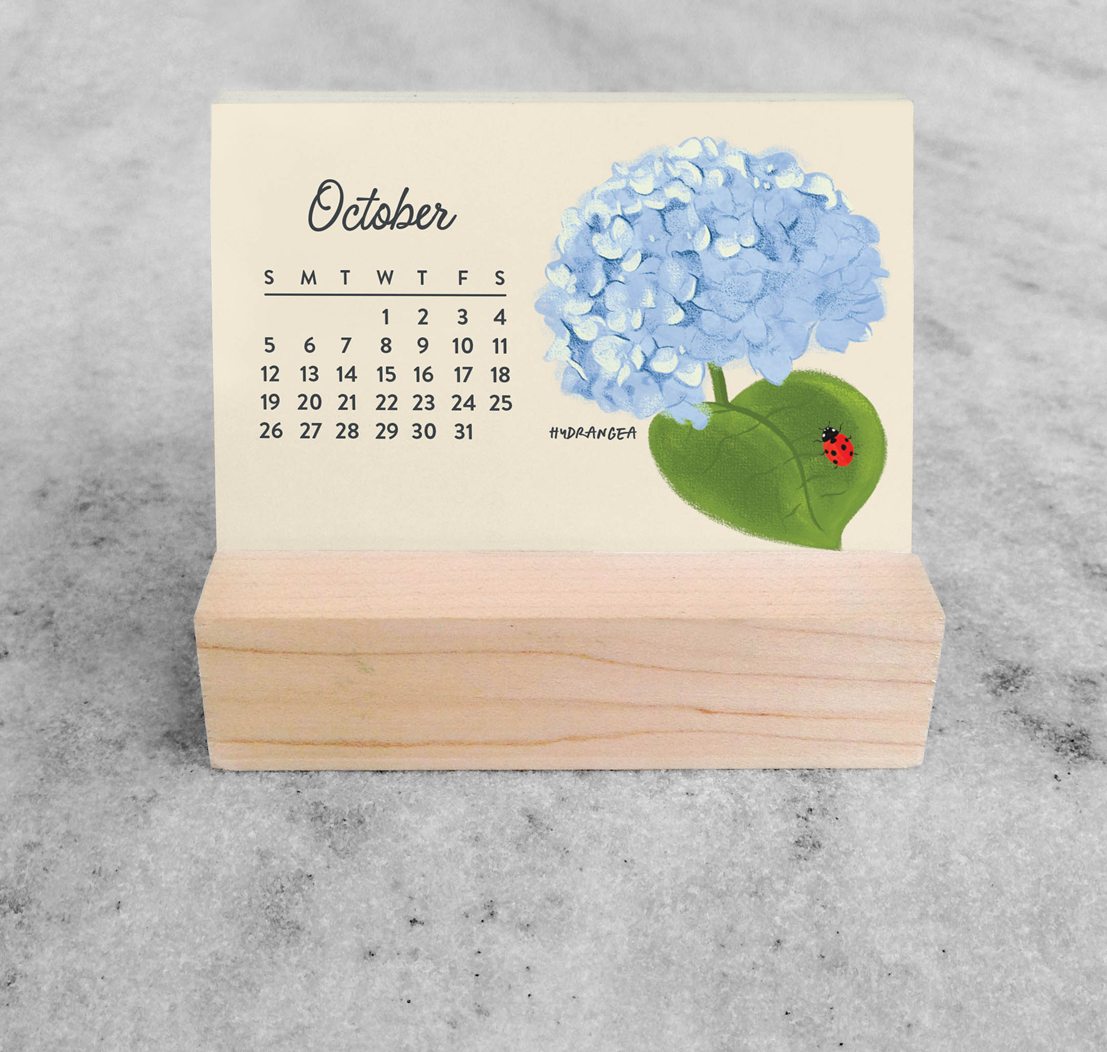 succulent desk calendar 2027 Mini Desk Calendar, Botanical