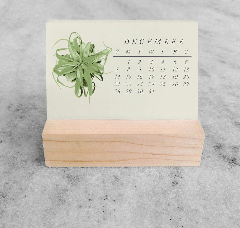 Favorite Story Mini Desk Calendar Tillandsia 2025 Mini Desk Calendar