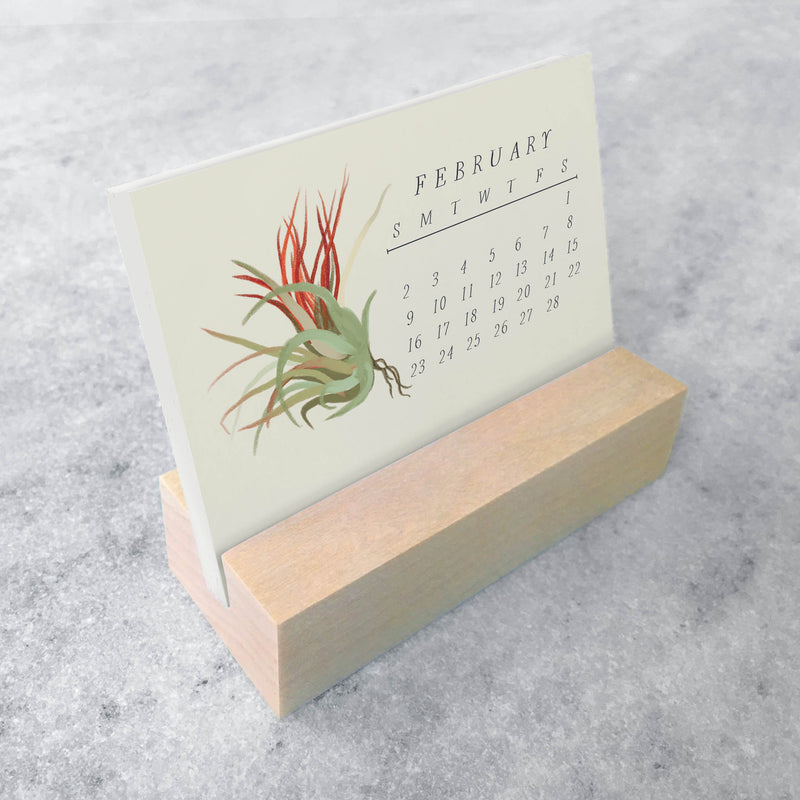 Favorite Story Mini Desk Calendar Tillandsia 2025 Mini Desk Calendar