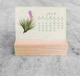 Favorite Story Mini Desk Calendar Tillandsia 2025 Mini Desk Calendar