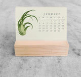 Favorite Story Mini Desk Calendar Tillandsia 2025 Mini Desk Calendar