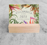 Favorite Story Mini Desk Calendar Tillandsia 2025 Mini Desk Calendar