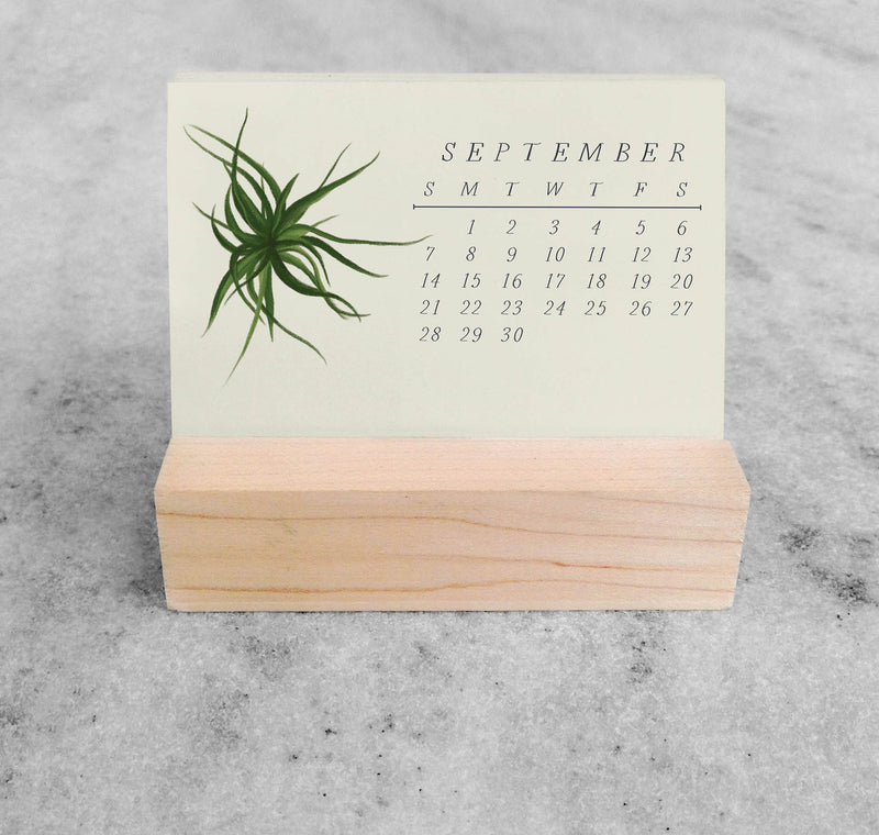 Favorite Story Mini Desk Calendar Tillandsia 2025 Mini Desk Calendar