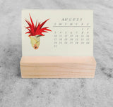 Favorite Story Mini Desk Calendar Tillandsia 2025 Mini Desk Calendar