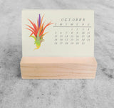 Favorite Story Mini Desk Calendar Tillandsia 2025 Mini Desk Calendar