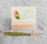 Favorite Story Mini Desk Calendar Tillandsia 2025 Mini Desk Calendar