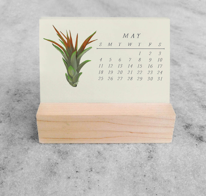 Favorite Story Mini Desk Calendar Tillandsia 2025 Mini Desk Calendar