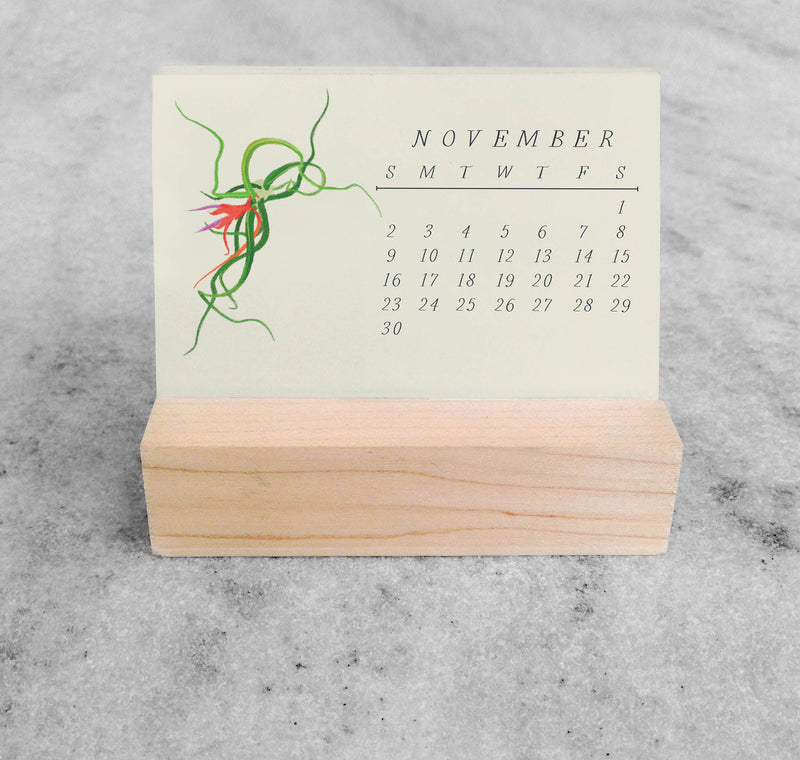 Favorite Story Mini Desk Calendar Tillandsia 2025 Mini Desk Calendar