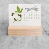 Favorite Story Mini Desk Calendar Wildflower 2025 Mini Desk Calendar