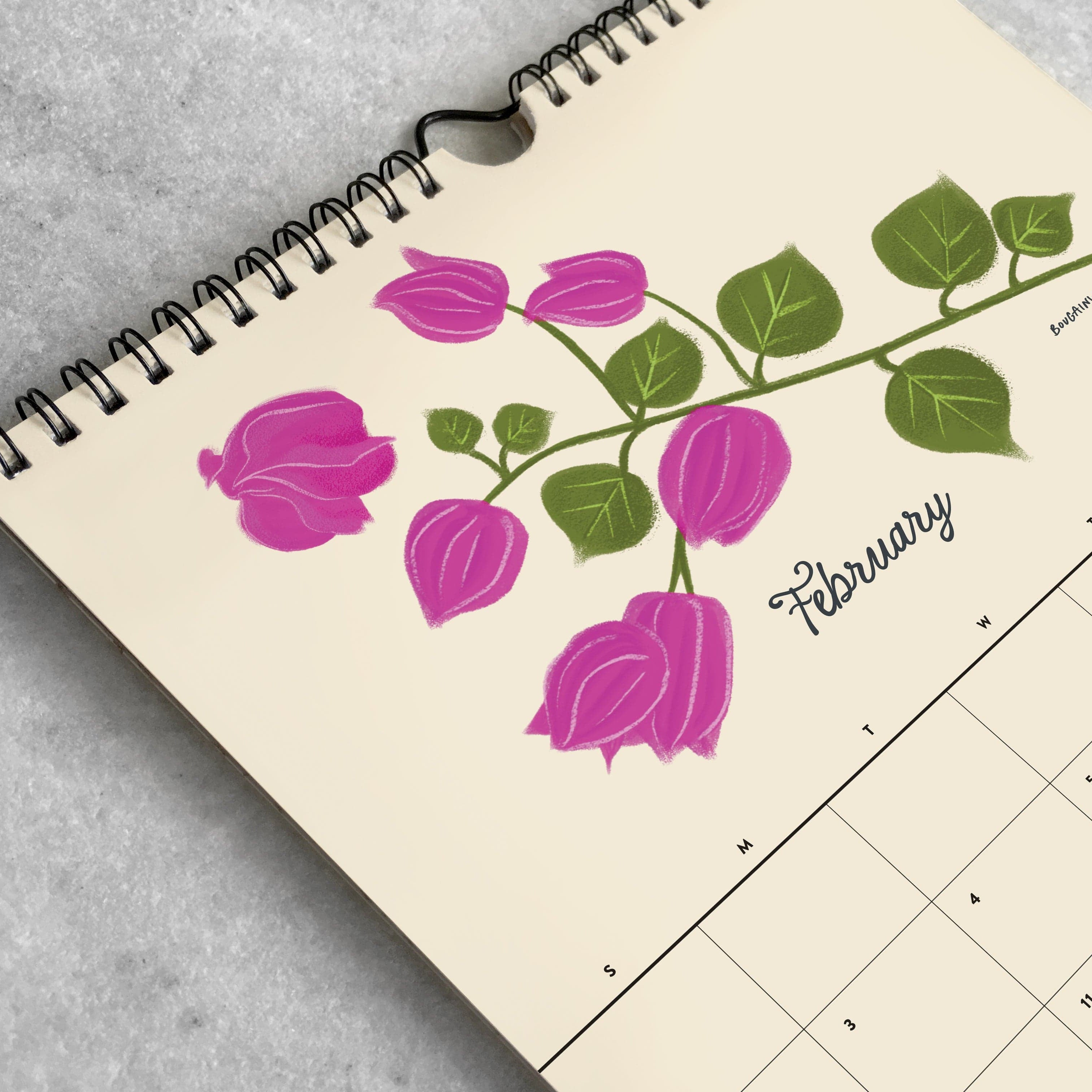Favorite Story Monthly Calendar Botanicals 2025 2025 Monthly Calendar