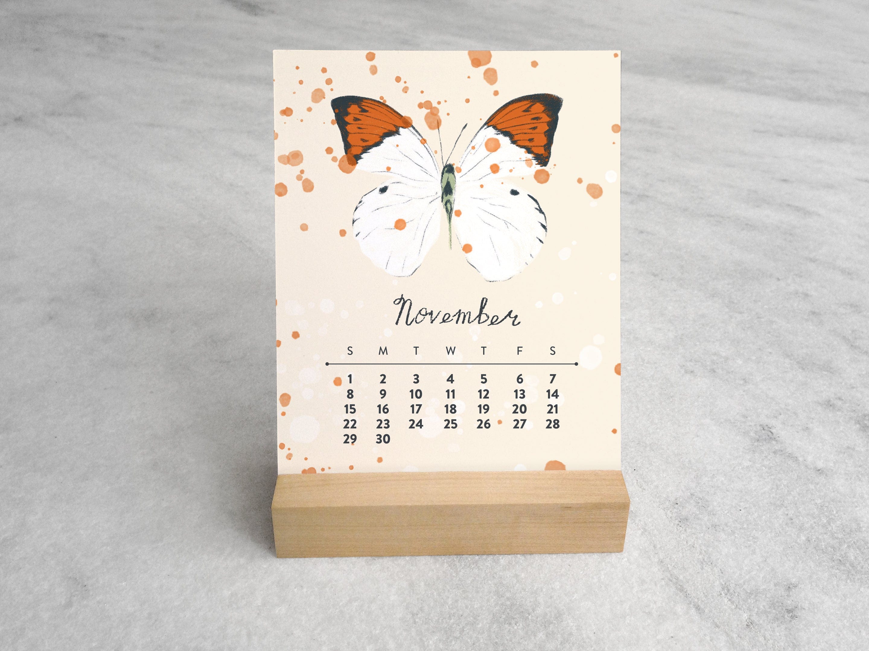 Favorite Story Desk Calendar Favorite Story 2026 Desk Calendar, Butterflies