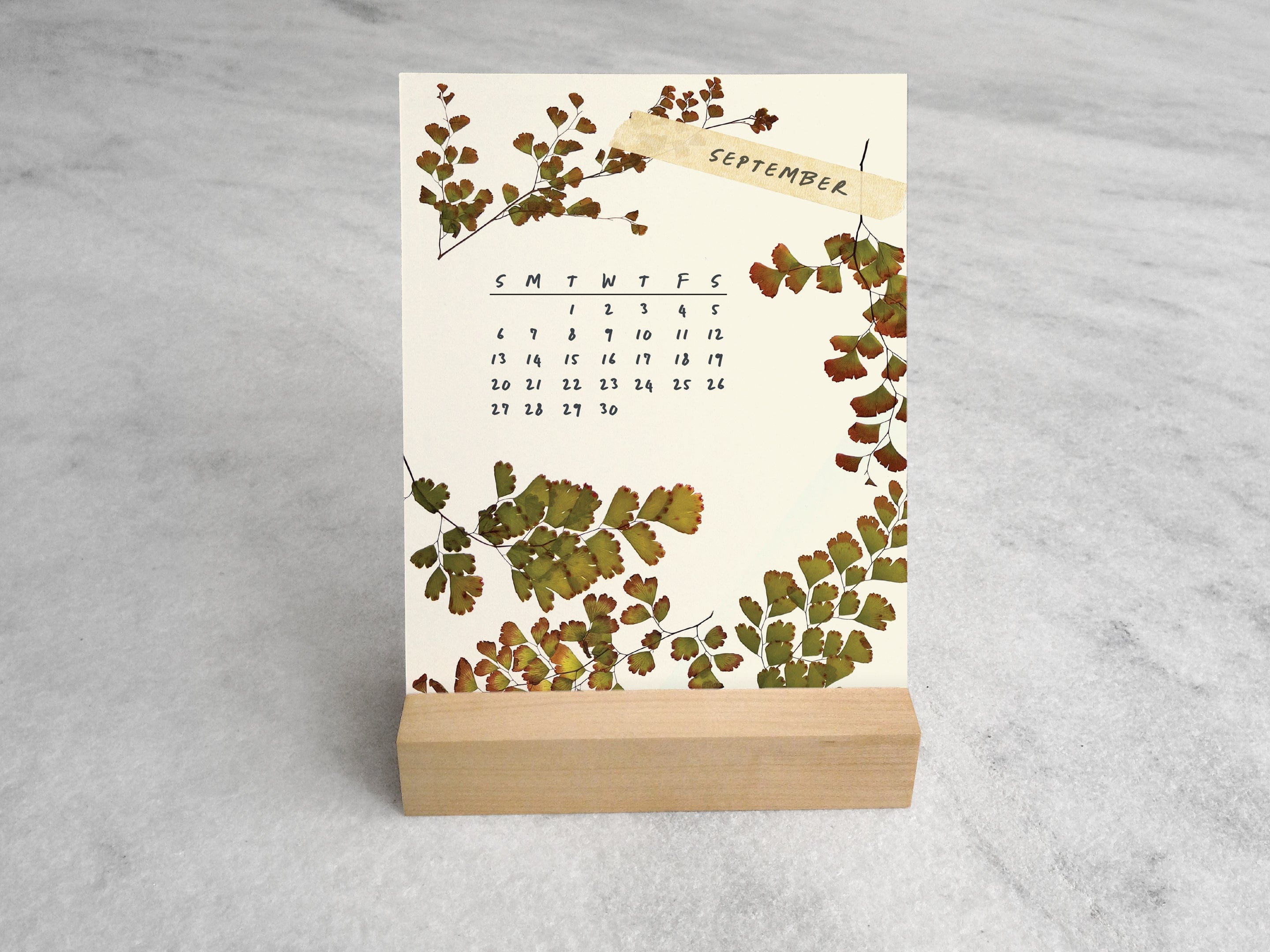 Favorite Story Desk Calendar Favorite Story 2026 Desk Calendar, Pressed Flowers