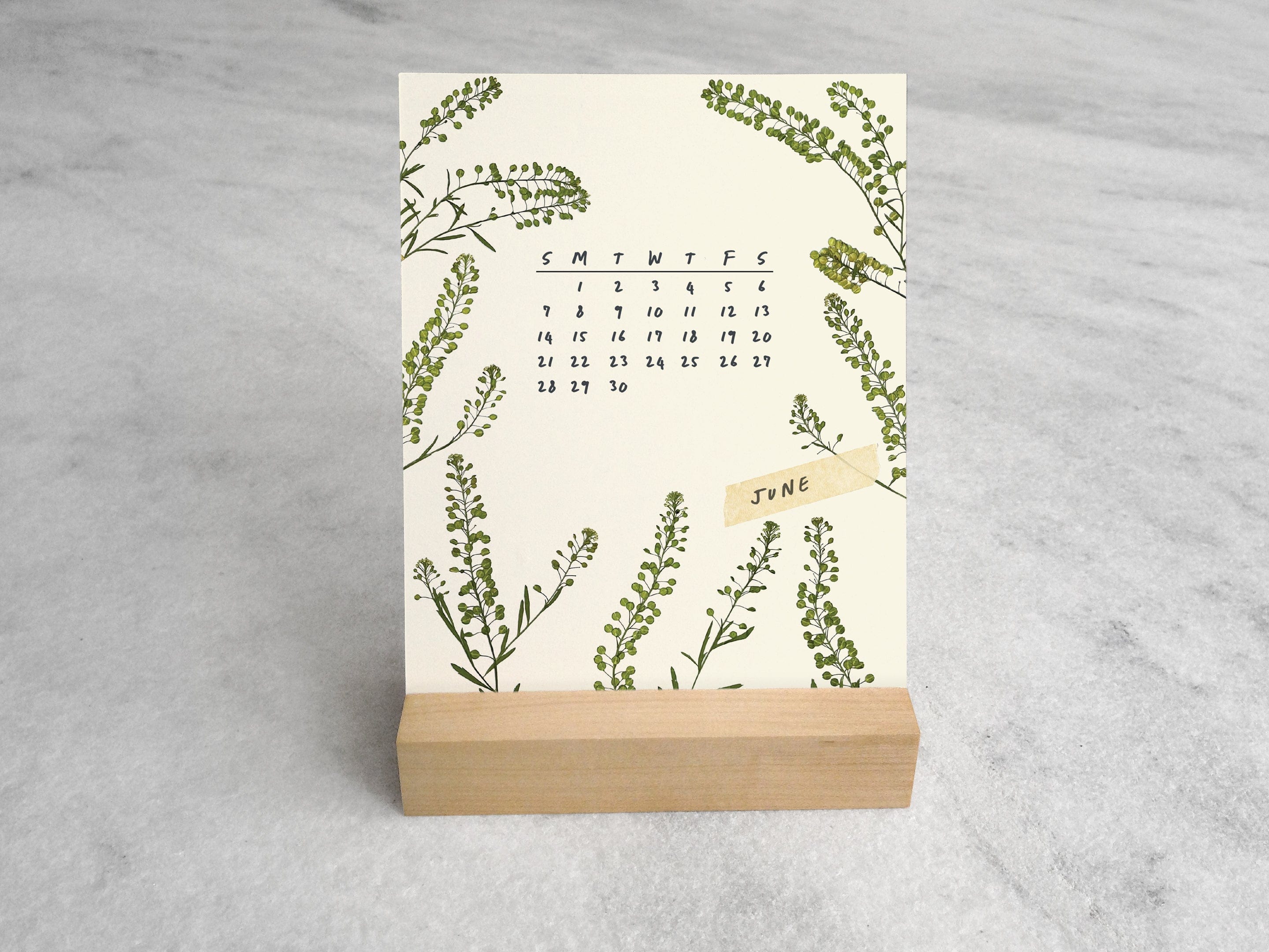 Favorite Story Desk Calendar Favorite Story 2026 Desk Calendar, Pressed Flowers