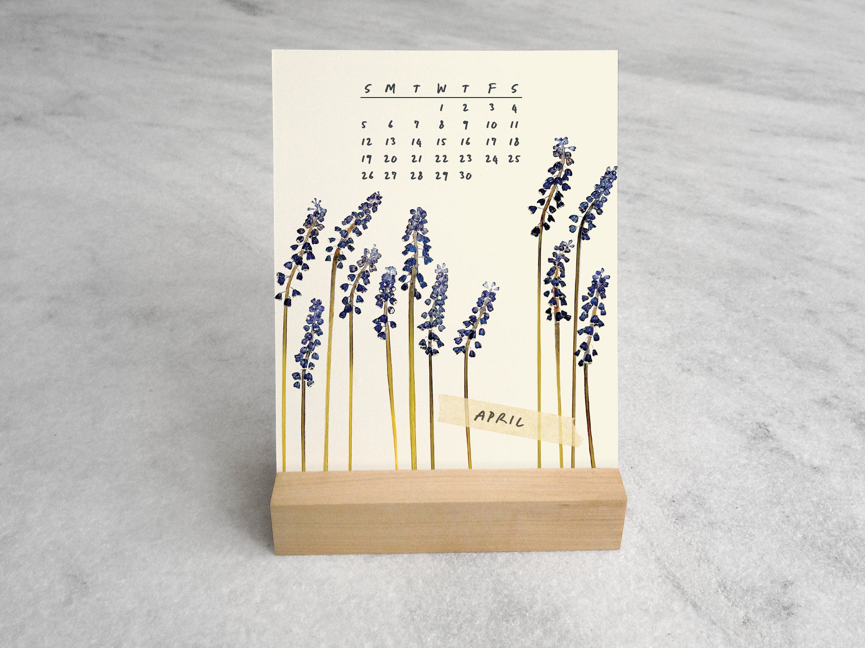 Favorite Story Desk Calendar Favorite Story 2026 Desk Calendar, Pressed Flowers