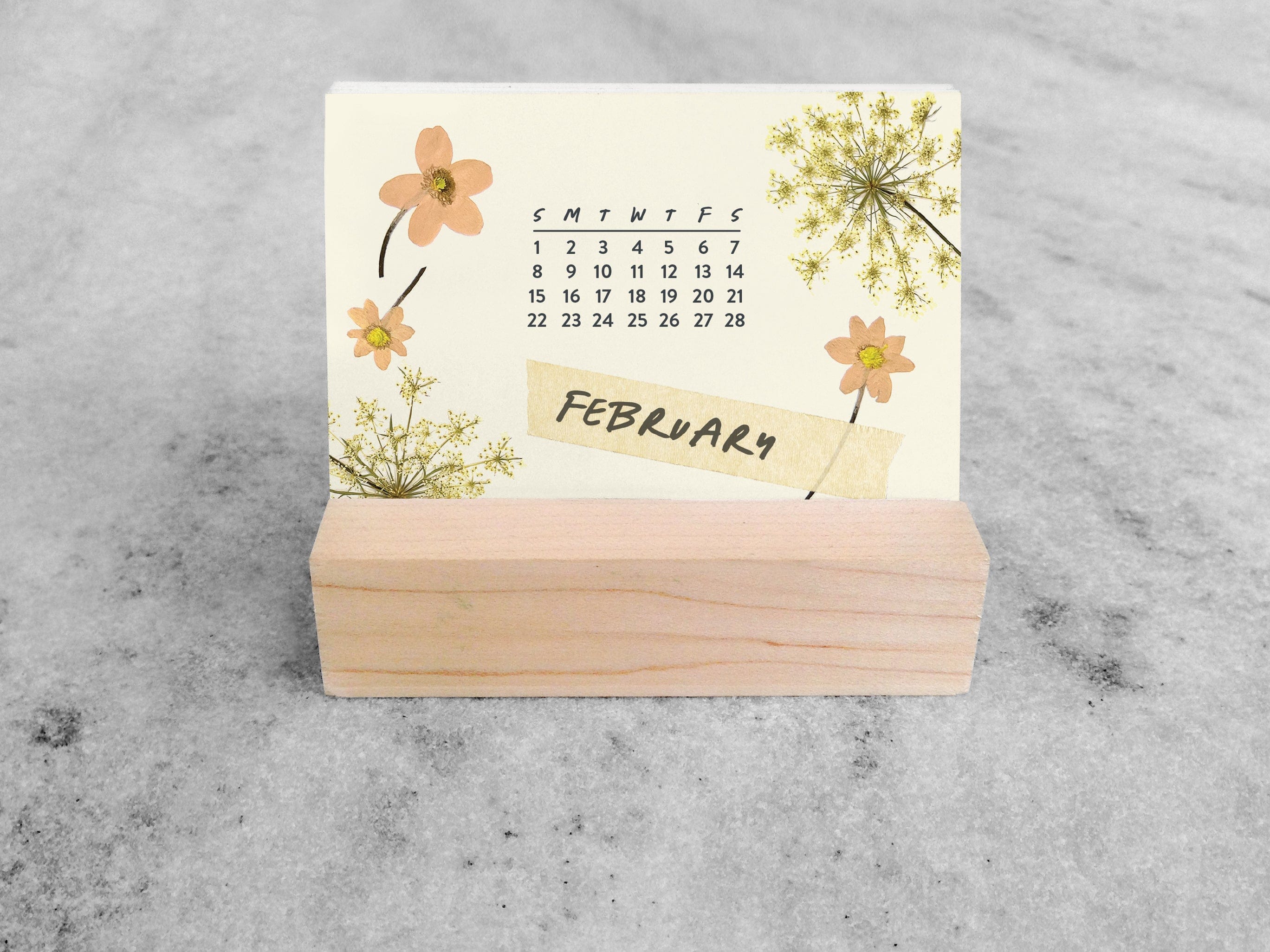 Favorite Story Mini Desk Calendar Favorite Story 2026 Mini Desk Calendar, Butterflies