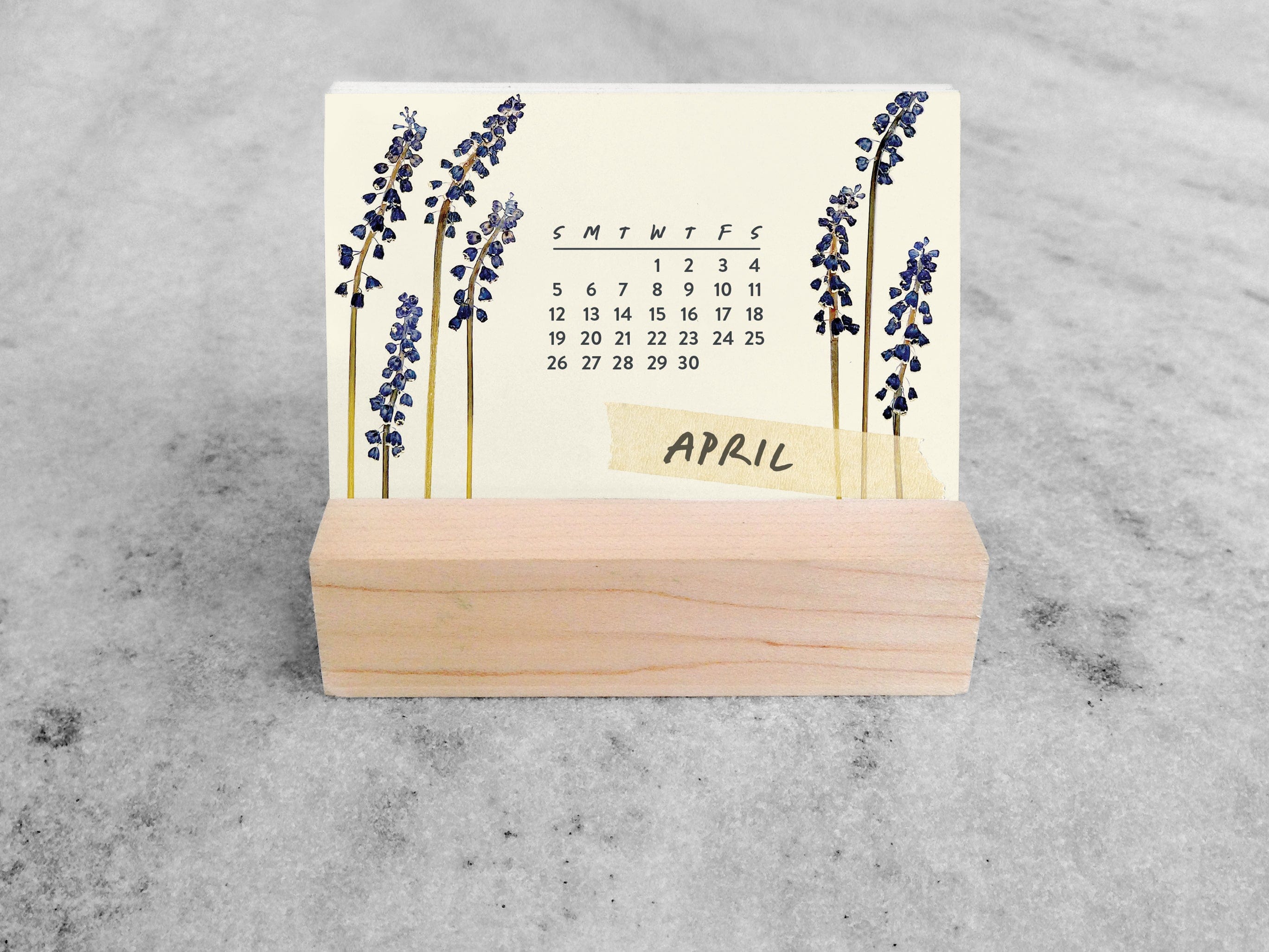 Favorite Story Mini Desk Calendar Favorite Story 2026 Mini Desk Calendar, Butterflies