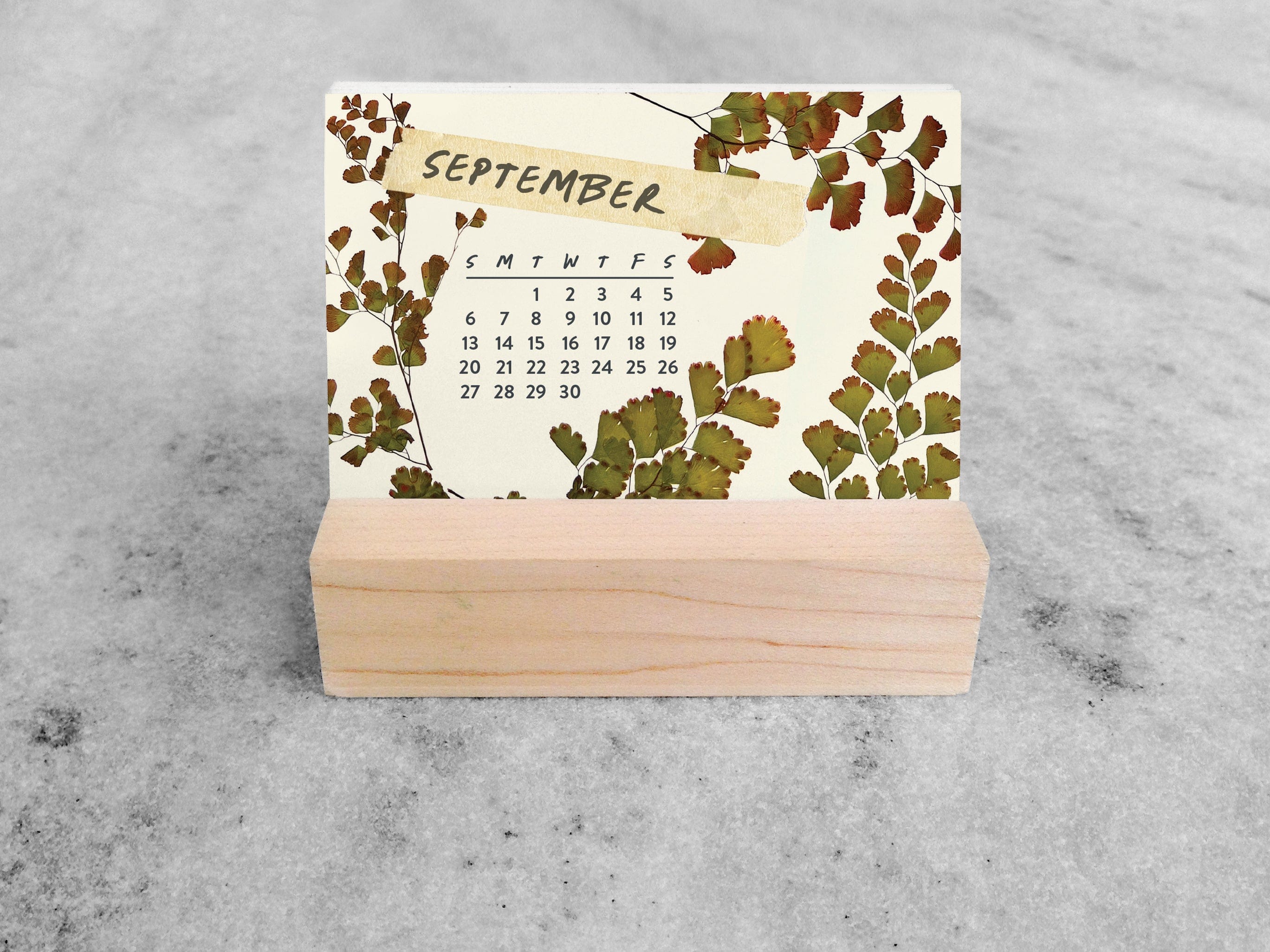 Favorite Story Mini Desk Calendar Favorite Story 2026 Mini Desk Calendar, Butterflies
