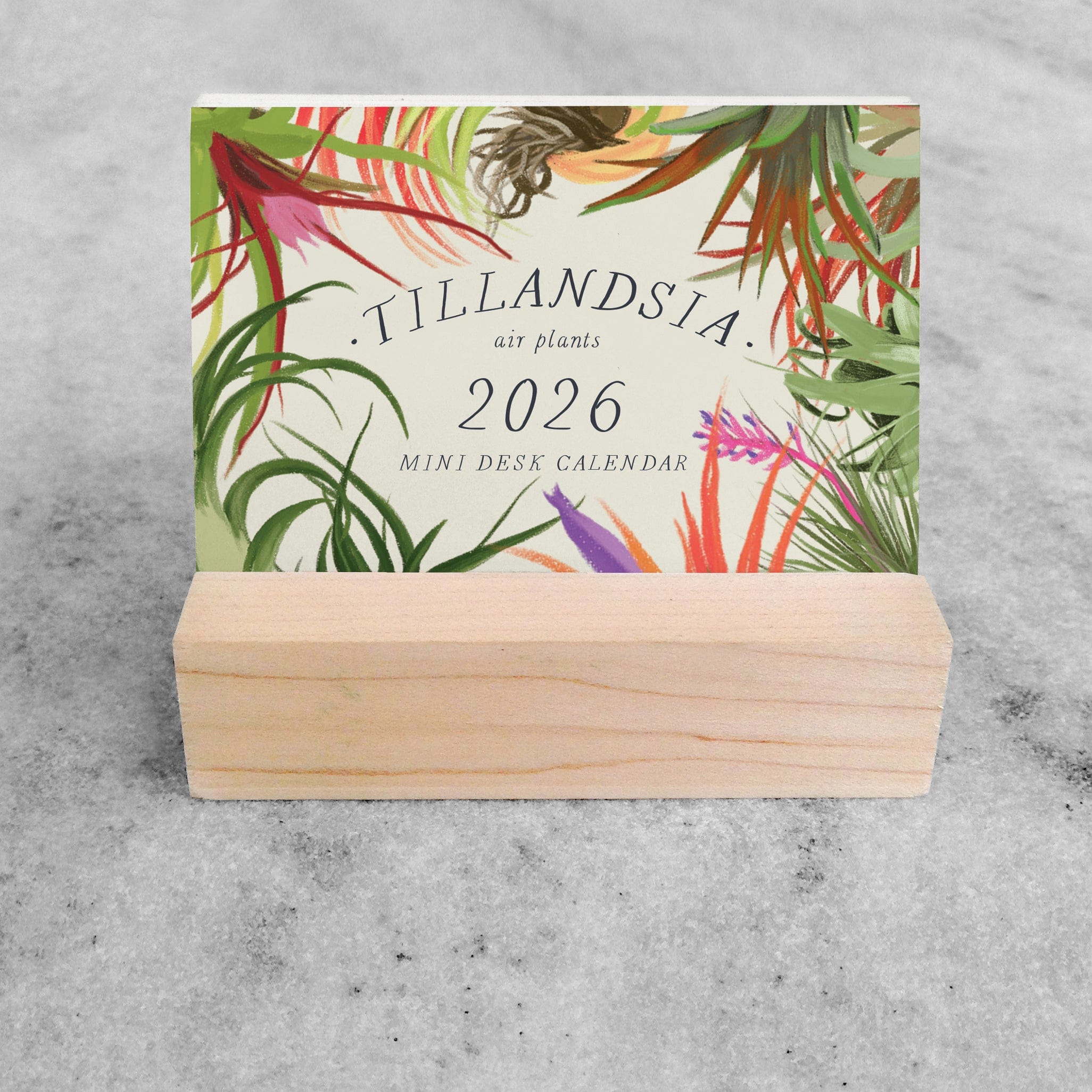 Favorite Story Mini Desk Calendar Favorite Story 2026 Mini Desk Calendar, Tillandsia