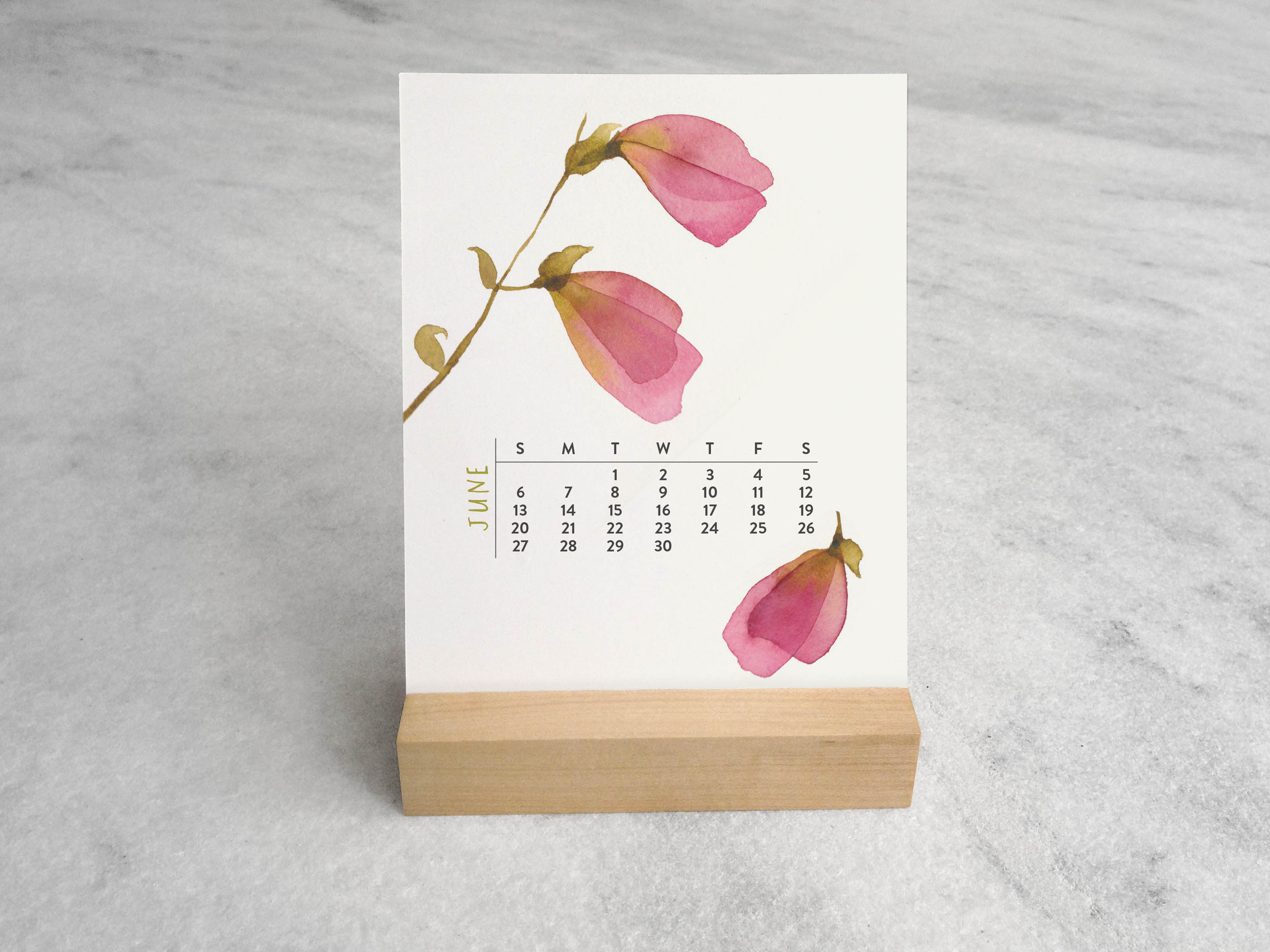 Favorite Story Desk Calendar Favorite Story 2027 Desk Calendar, Blooms