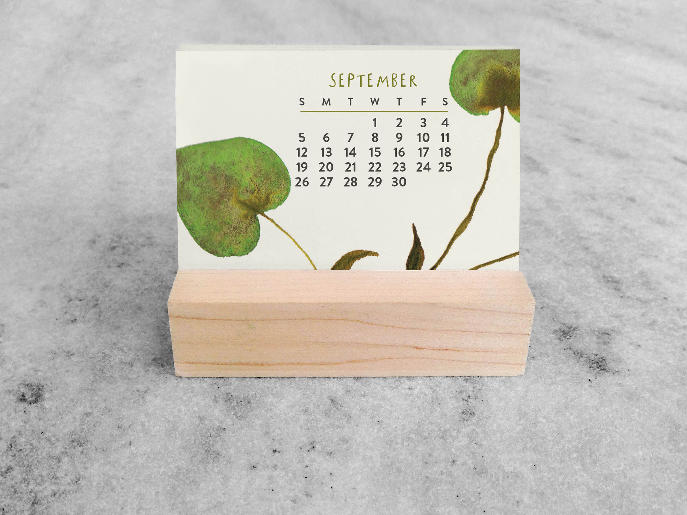 Favorite Story Mini Desk Calendar Favorite Story 2027 Mini Desk Calendar, Blooms