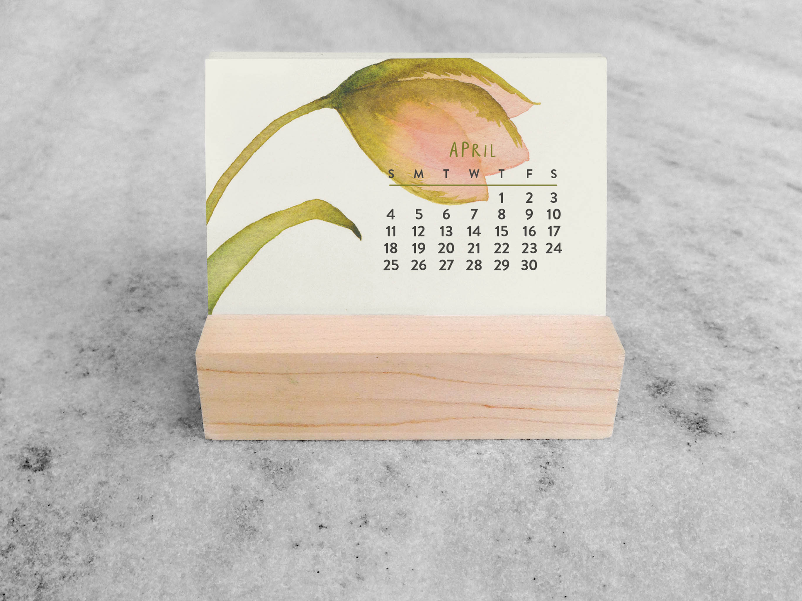 Favorite Story Mini Desk Calendar Favorite Story 2027 Mini Desk Calendar, Blooms