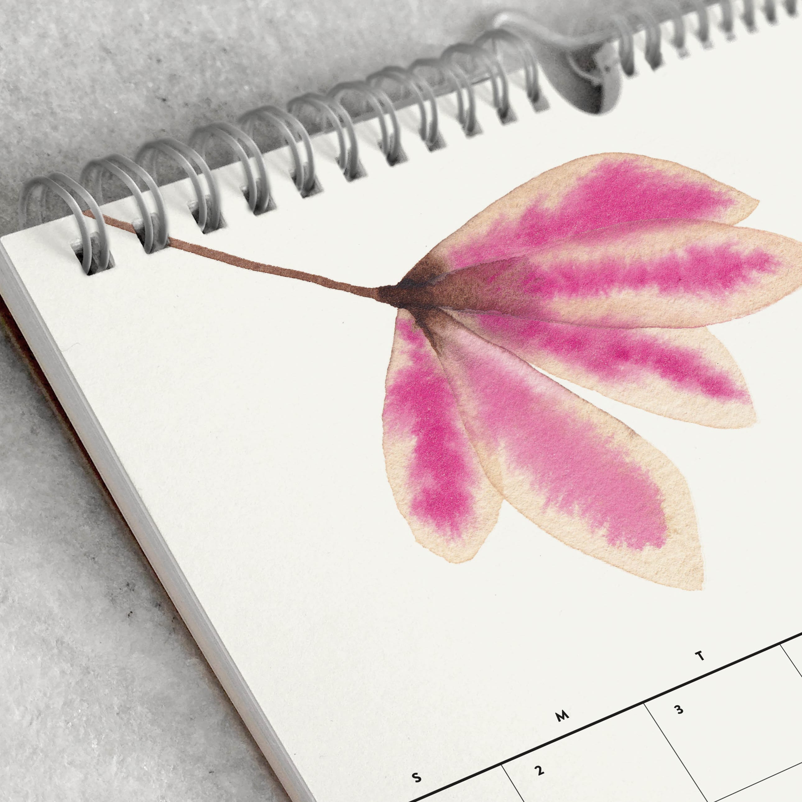 Favorite Story Monthly Calendar Favorite Story 2027 2027 Monthly Calendar, Blooms