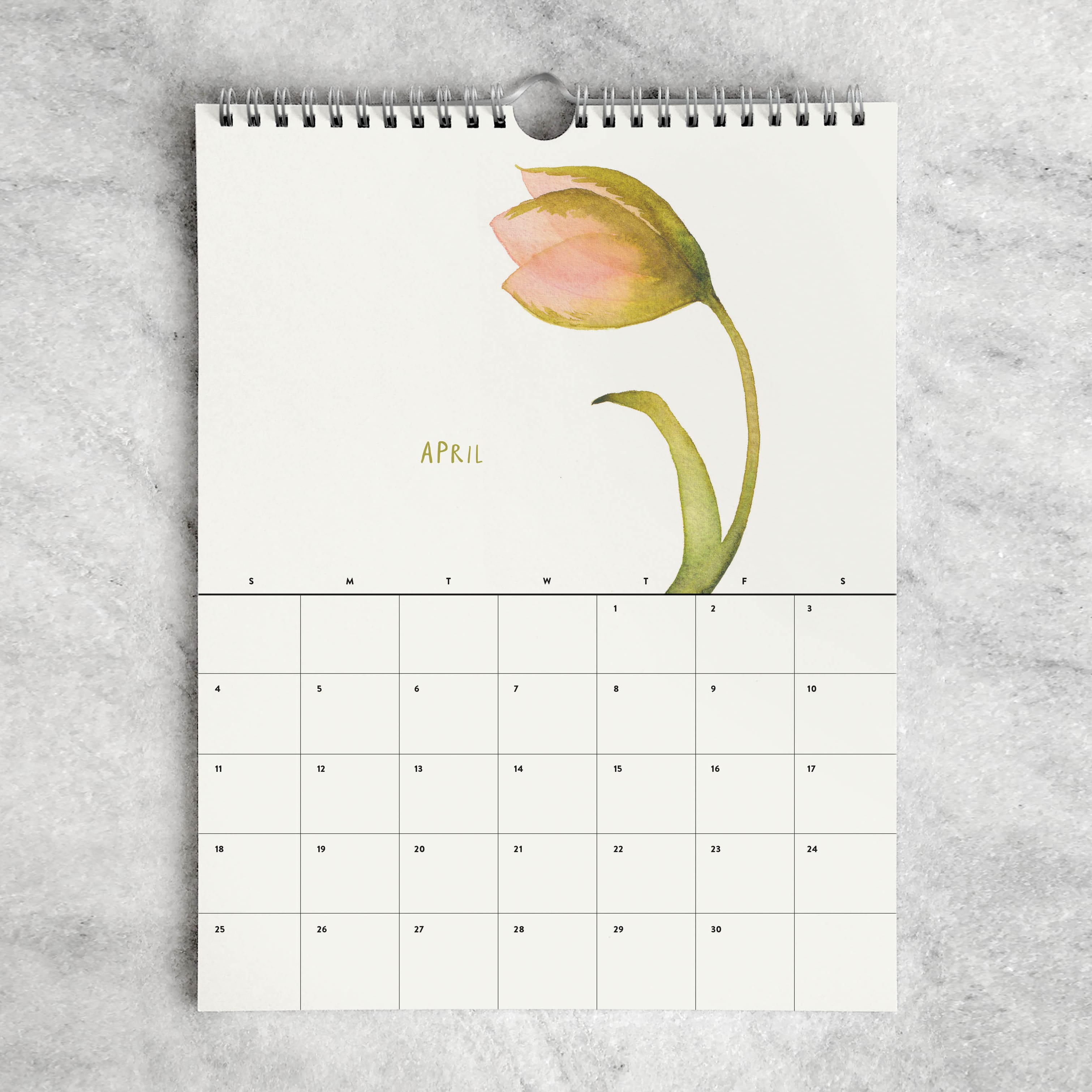 Favorite Story Monthly Calendar Favorite Story 2027 2027 Monthly Calendar, Blooms
