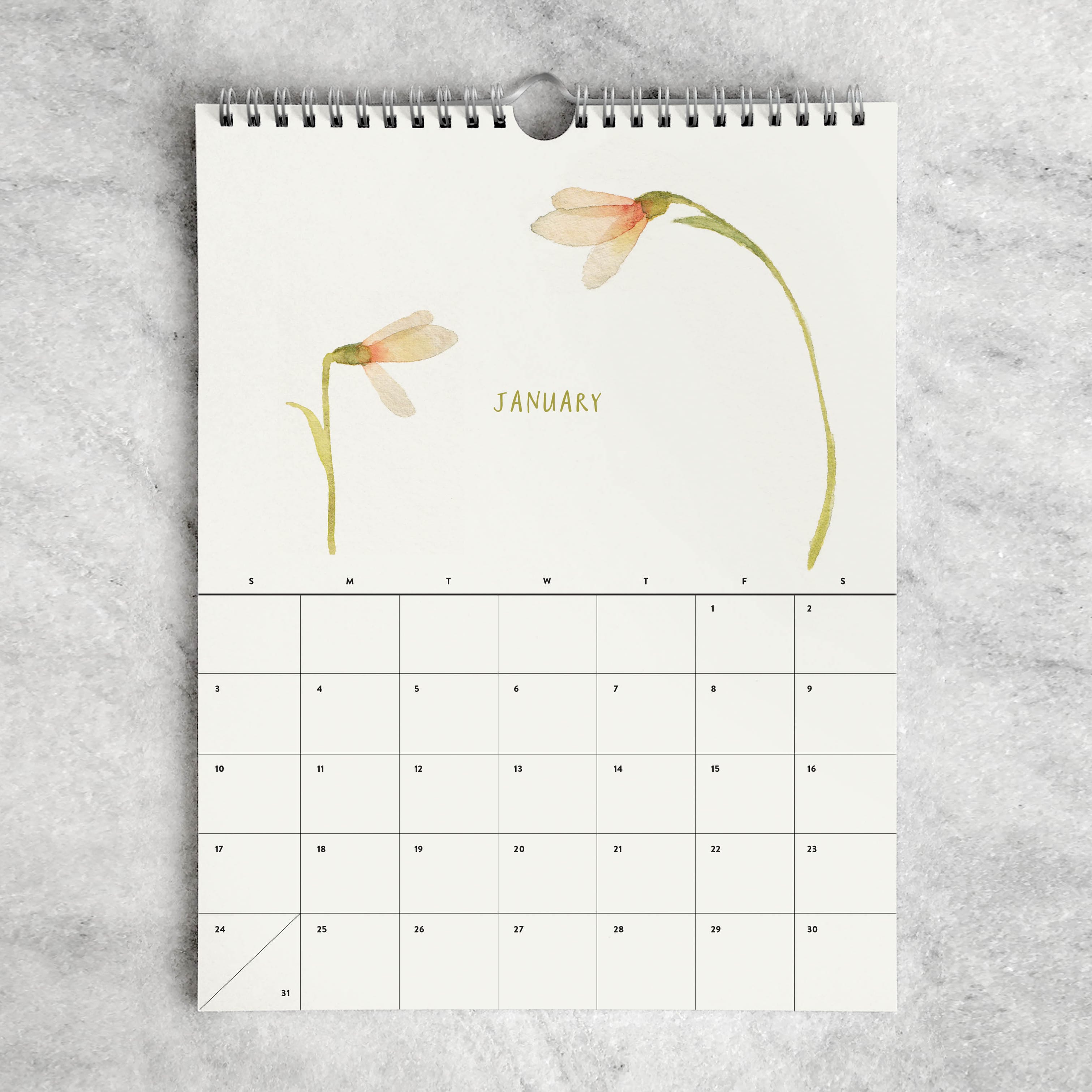 Favorite Story Monthly Calendar Favorite Story 2027 2027 Monthly Calendar, Blooms
