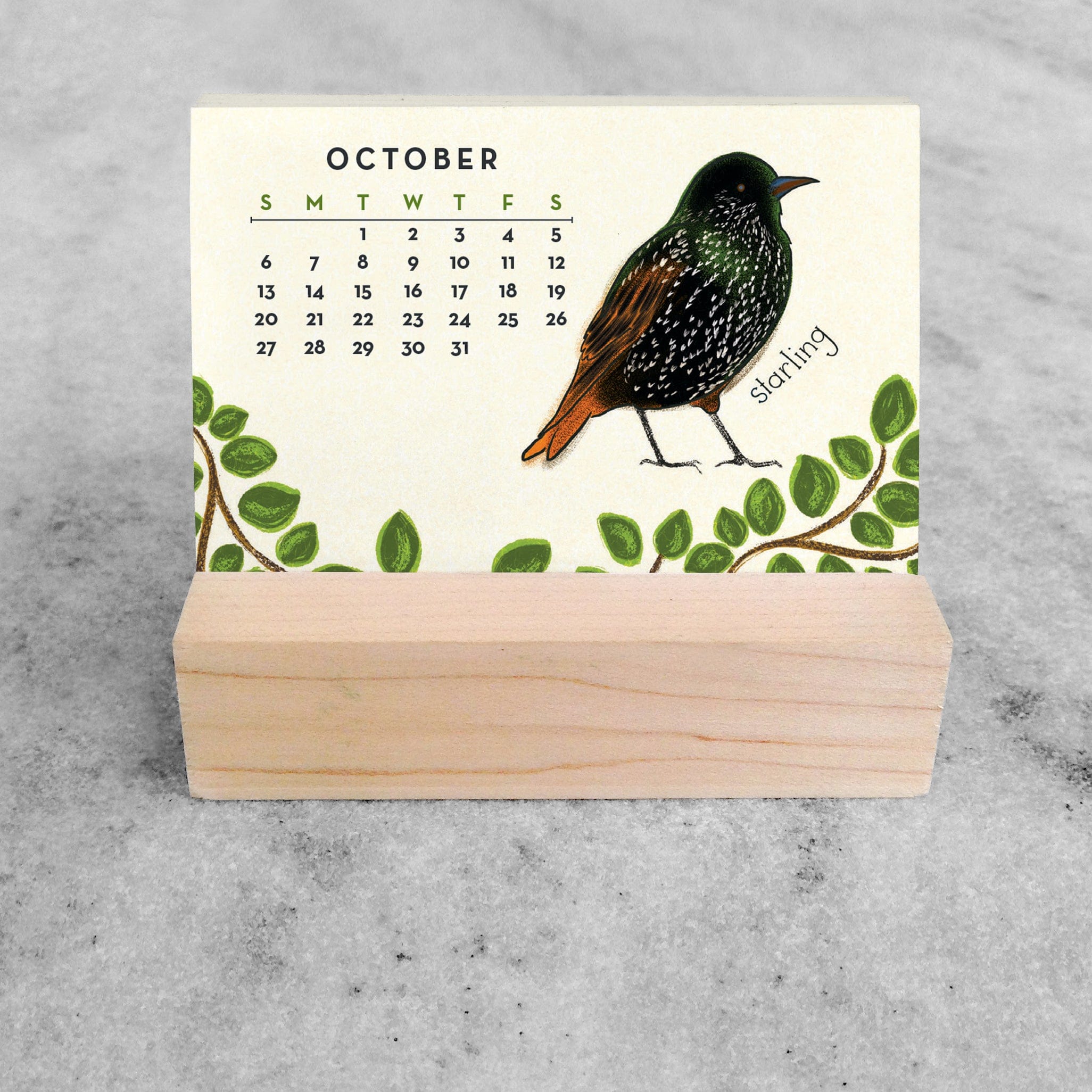 Favorite Story Mini Desk Calendar Feathered Friends 2024 Mini Desk Calendar
