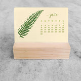 Favorite Story Mini Desk Calendar Fern 2023/2024 Mini Desk Calendar