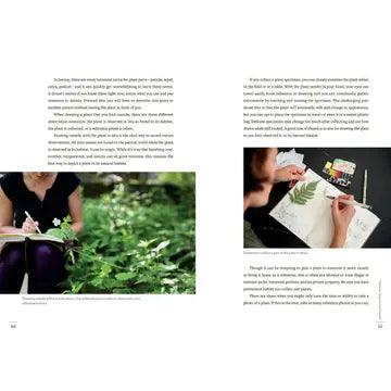 Favorite Story Book Chronicle Books A Perpetual Journal Practice