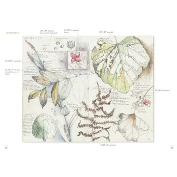 Favorite Story Book Chronicle Books A Perpetual Journal Practice