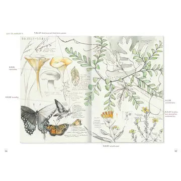 Favorite Story Book Chronicle Books A Perpetual Journal Practice