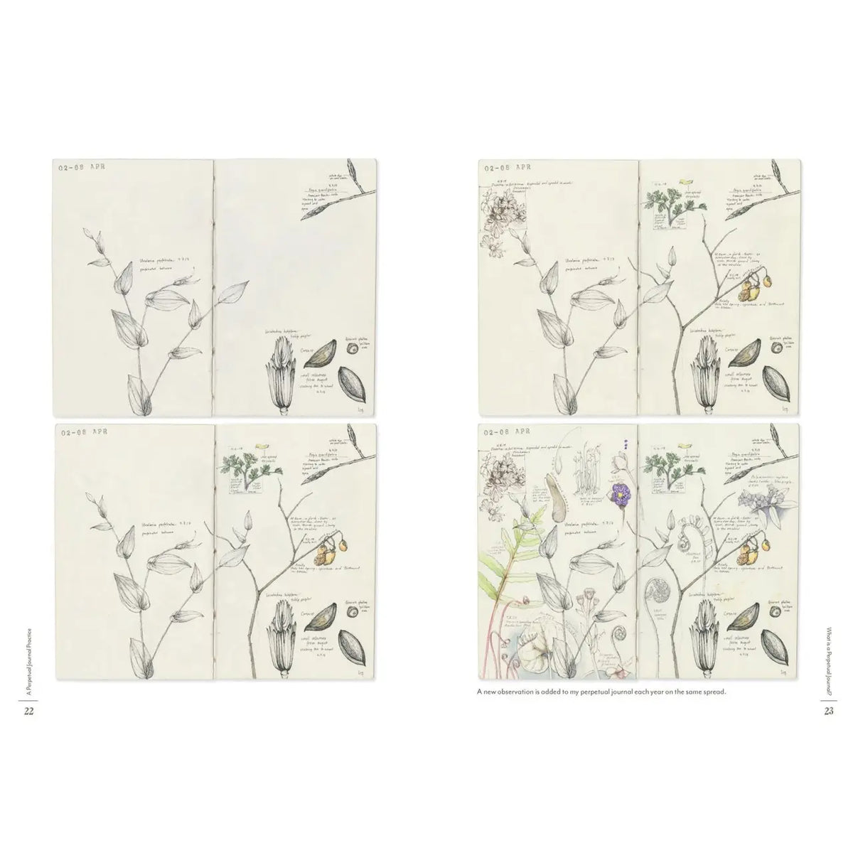 Favorite Story Book Chronicle Books A Perpetual Journal Practice