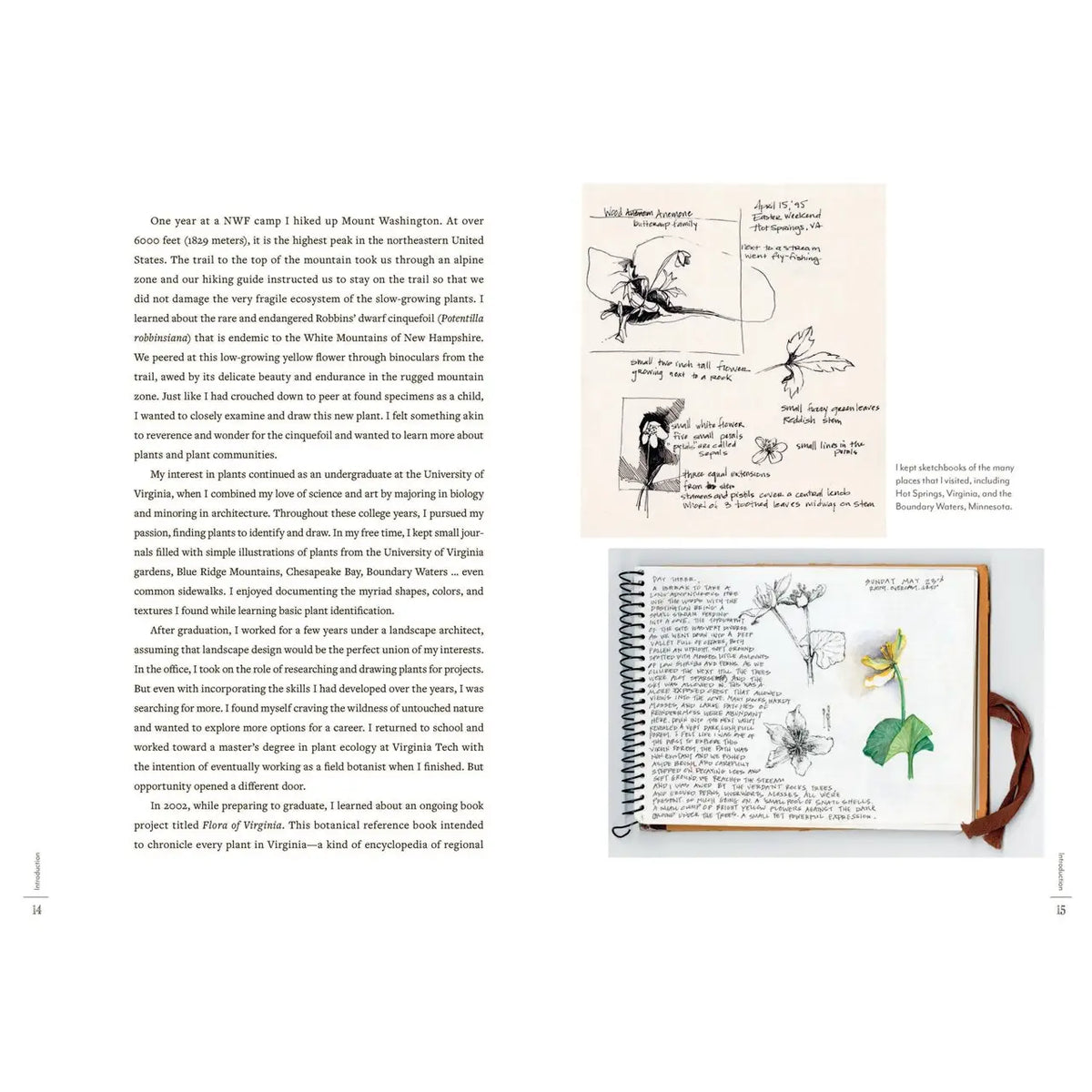 Favorite Story Book Chronicle Books A Perpetual Journal Practice