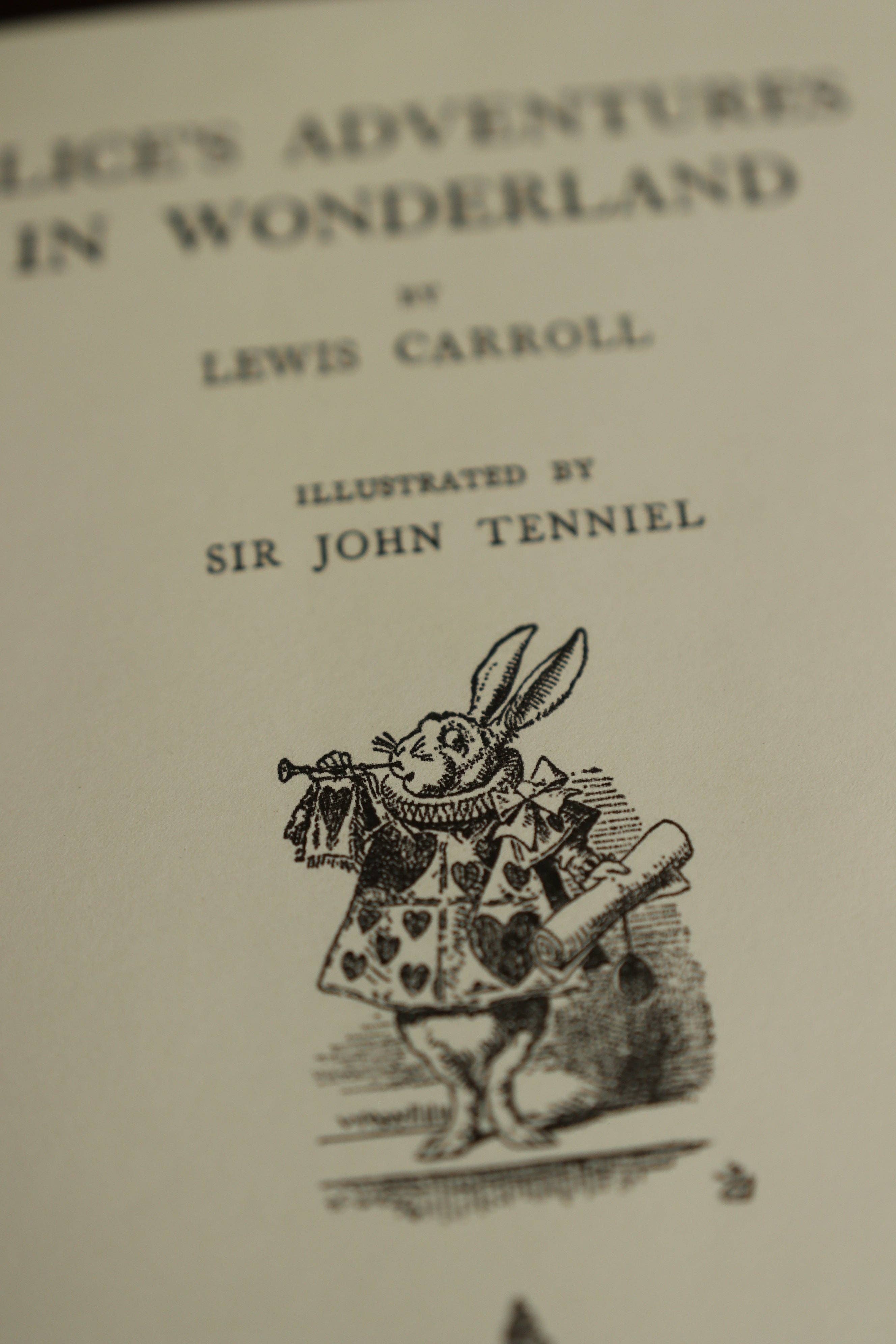 Favorite Story Novel Book Store *Alice in Wonderland' Lewis Carroll 1865 Book Journal